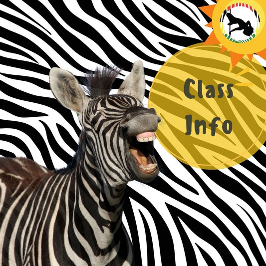 Class Info