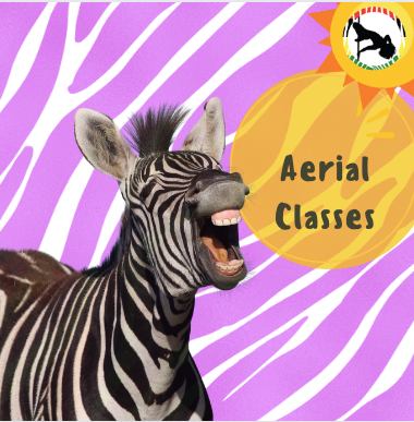 Go Aerial With Joes!